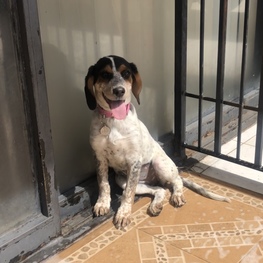 D aa201fe8 93d0 4ed4 86ef 5894be642f70