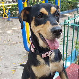 D e97825ec f8bf 4f4f 8a27 4c409831dc7b