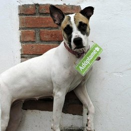 D 2729b54a 9860 4e9e bcb5 d16ee83bf456