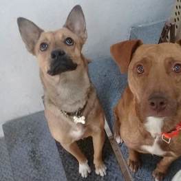 D 5e973f49 b981 47e5 aa6c 37ea1d6663ce