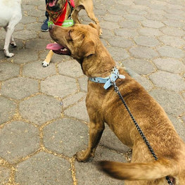 D 97becee2 551b 4a81 8bbd 3228f1359381