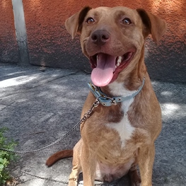 D 69ddb893 2589 4c26 a940 d4229d2bae29