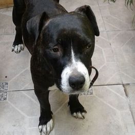 D 0cf7006a 8640 4924 9b69 15d0e8f10684