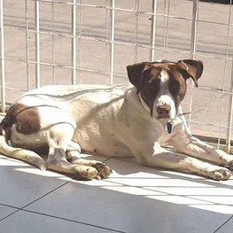 D c53dc76b a0bb 4a2e b810 54461e3d06b9