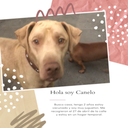 D fa594121 9aa9 45cd 8d53 3599606f9661