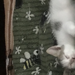 D 0964e4ff 7c5e 4128 bca4 d91e2eb84336