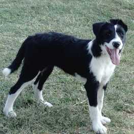 D 91b8db05 1695 4d0f be81 40bd382294ab