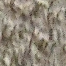 D 2334897b f604 4d93 9155 04b06c9928dd