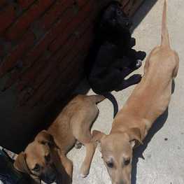 D 5445c5e7 6ba9 4037 8cb2 12ef39c39b7b