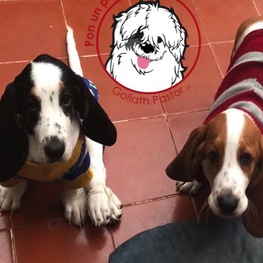 D 04a9a94d a939 4684 9aa9 9c9dc8382ffd