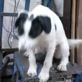 D ac39dc36 a5cf 4525 8ef9 530130804d5e