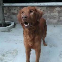 D ab38ea0d a045 4e60 abe7 a0efb8a86431