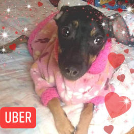 D 27c92473 7d93 4729 a85c d52590cb3100