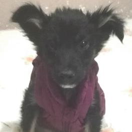 D 6a5cb9d1 3d60 4048 99c8 d8ac2baf2ee8