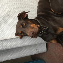 D ee06b654 a855 47d1 9f05 f3903a2b3788