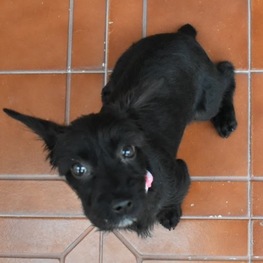 D 5857840e b56d 43f6 b2c7 1d54a4531a37