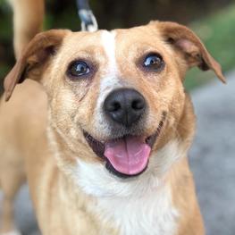 D e10a9e74 52b8 4f26 8be4 c4d75df1357b