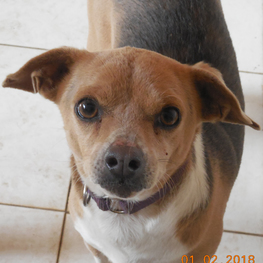 D ed64d3bd 3210 4f9f b390 990242efec13