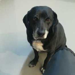 D 5082ff6c e61a 49c6 bd72 d6f691de0d62