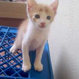 D 2357bd6f 174d 472e b534 2a7595aeedda