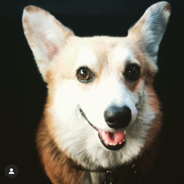 D 1cae6150 dab6 4de5 b63d 50ed6553744f