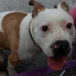 D 0a58b782 6cc4 4868 aa06 803d0551a1d9