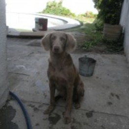 D 17428485 0028 4067 ab9a 885322f19454