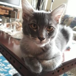 D a114c7d3 c39d 4a24 8844 d5ea3d6d6623