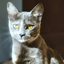 D a091d20b 8a94 43a3 b1d5 841ededbaab5