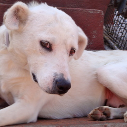 D 834e874b 70cc 4750 a379 78713ba323a3