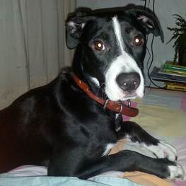 D 30674f13 2a67 4952 9fb4 e654e512368f