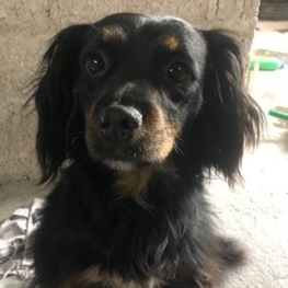 D 3e1d66ae 8f0d 424c 8913 21be5b6bc859