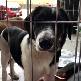 D 38181717 d0f1 4f32 a489 009f22b16ea8