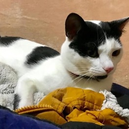 D 4f954a76 fe2f 40dd bfc5 d9891cac283f