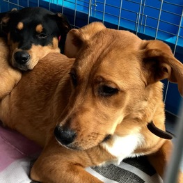 D 3216555f 364a 44c5 8624 746a706e0cbc