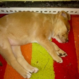 D 8409d6cb 4550 4eb3 95d5 bfba3d8754e9