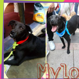 D 5da25106 36e7 4fc3 b2ef d016f54b1502