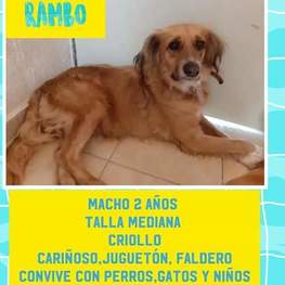 D cc7d2e9e d96c 40c8 a80f a8eb198754e0