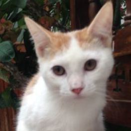 D e3dbfc06 2c0e 496d a963 16f764812362