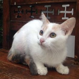 D e4e226a6 f654 4d8d a024 d71b90446f04