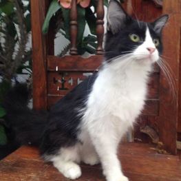 D 91f2f268 880f 4273 9c37 b36b03930dfd