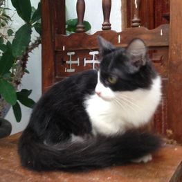 D 3ebd595e 339b 41fe b4b4 b491497d2f84