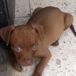 D a2069b83 ab5b 4127 b77c 67cb6d6b106d