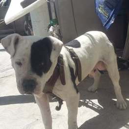 D a294fade a9b3 45d6 8536 a71e3c670a29