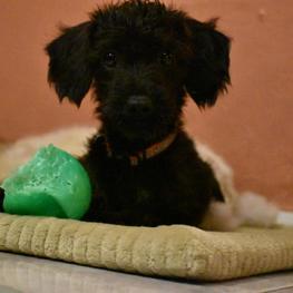 D ea3631ed f89b 438d aab5 50926cac612c