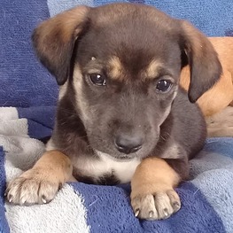 D a3216cc2 9578 4ac6 8942 55ed19f3a5e4