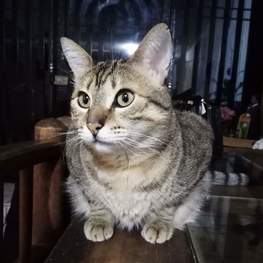 D 66b73310 b06e 48f5 9e25 82db0f04328f