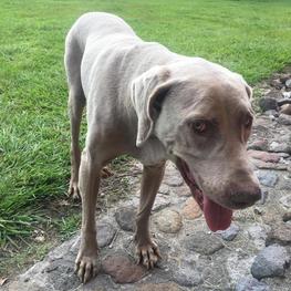 D 01783403 e581 4b9d aa77 437a58b3c171