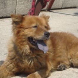 D a893af54 70df 4ec3 8096 b9702133df9b