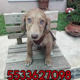 D 07bad4a2 591f 4b8d a69d 30df49212e64